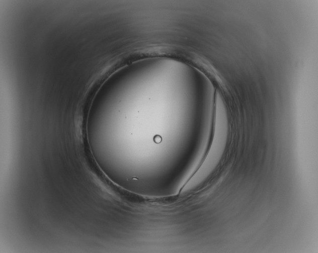 X0000113180585200909111056