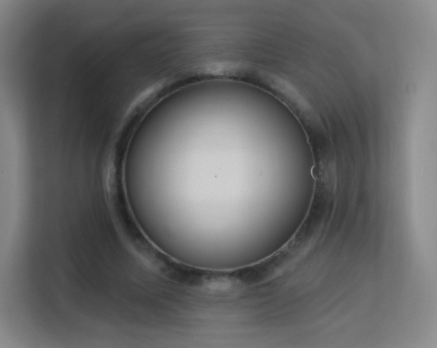 X0000113180587200909111056