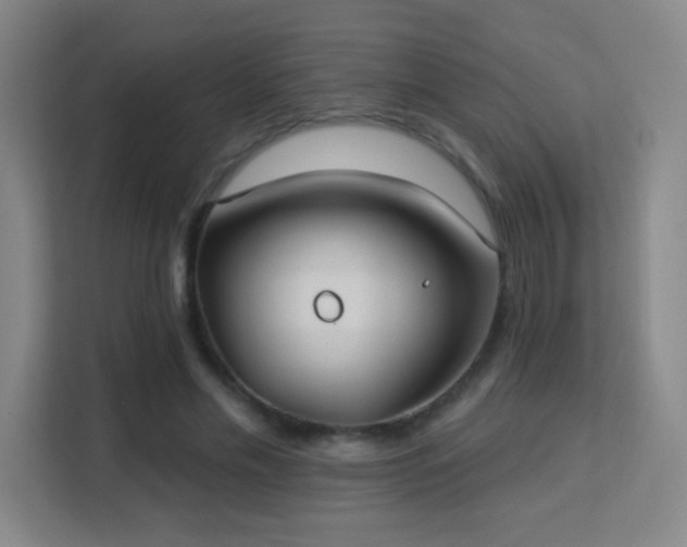X0000113180589200909111056