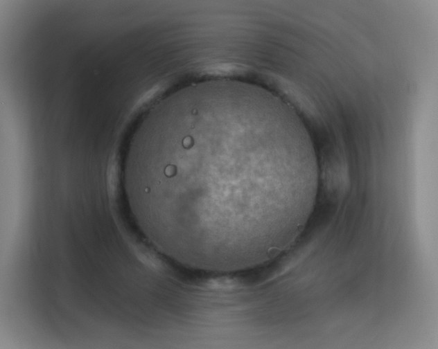 X0000113180591200909111056