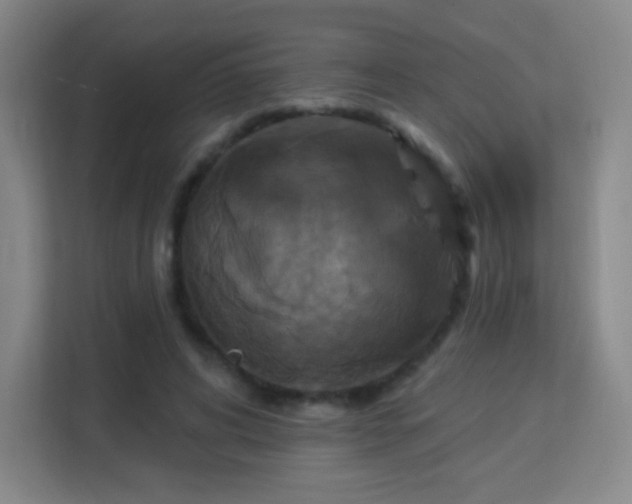 X0000113180592200909111056