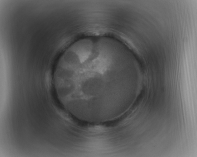 X0000113180594200909111056