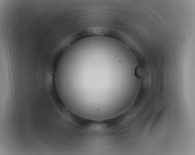 X0000113180595200909111056