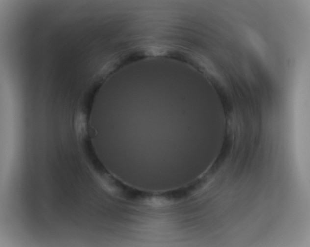 X0000113180598200909111056