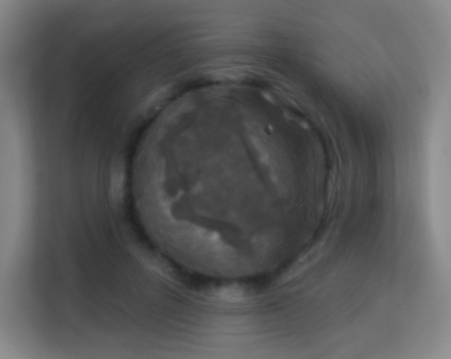 X0000113180600200909111056
