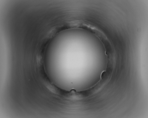 X0000113180601200909111056