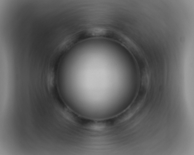 X0000113180604200909111056