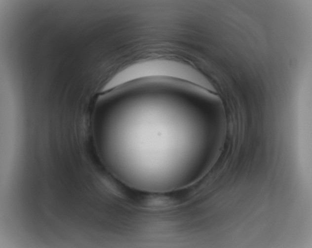X0000113180605200909111056