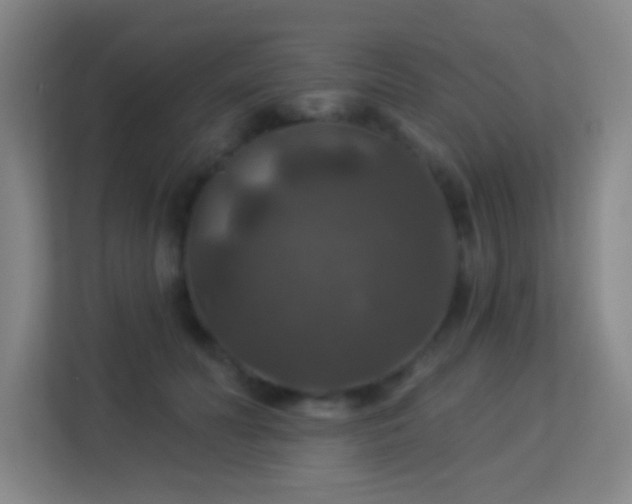 X0000113180606200909111056