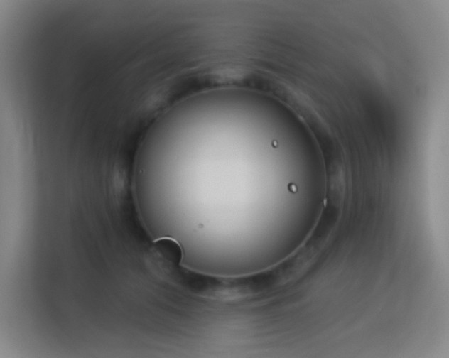 X0000113180608200909111056