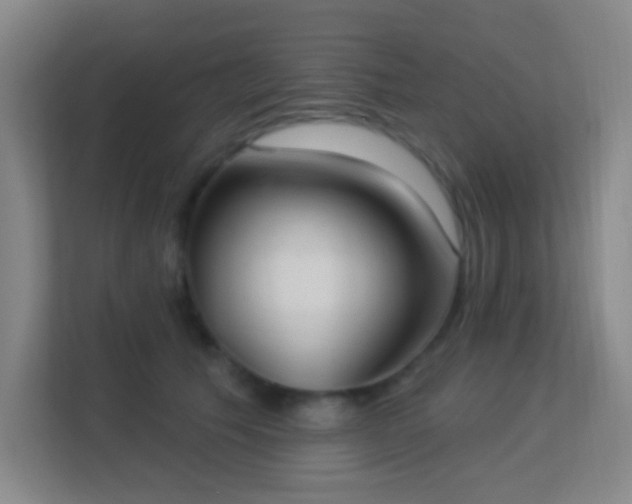 X0000113180609200909111056