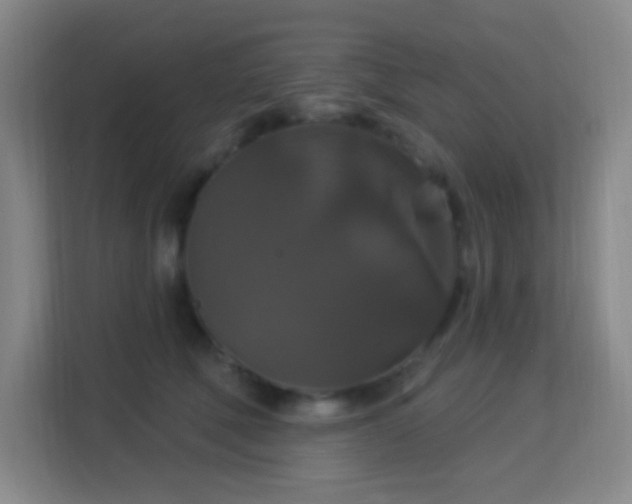 X0000113180610200909111056