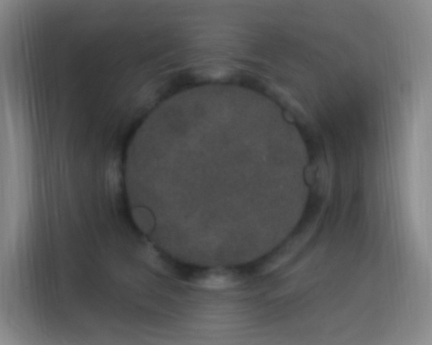 X0000113180612200909111056