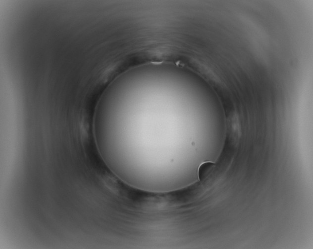 X0000113180615200909111056