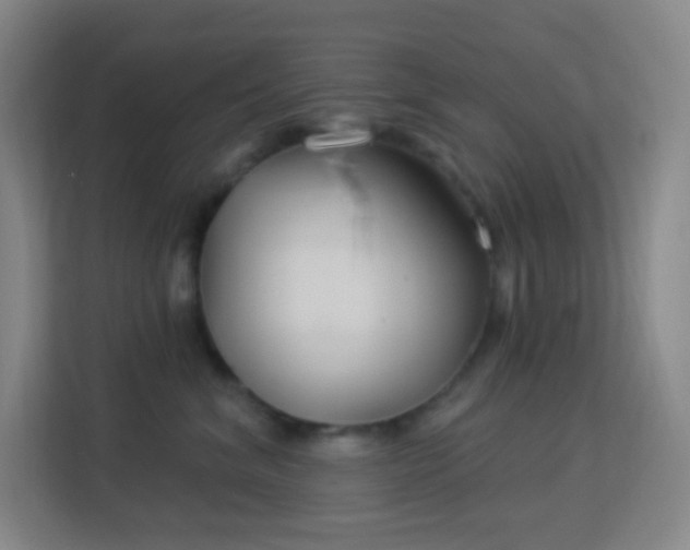 X0000113180620200909111056