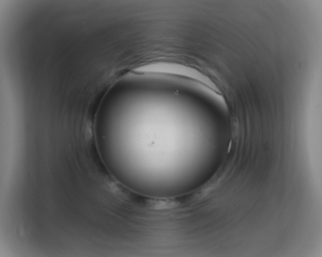 X0000113180621200909111056