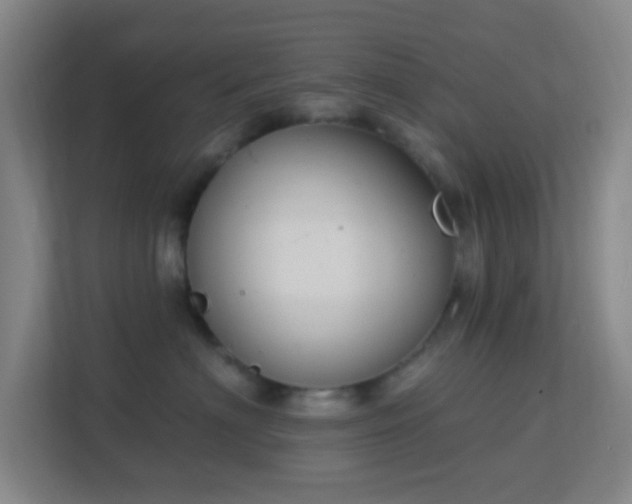 X0000113180622200909111056