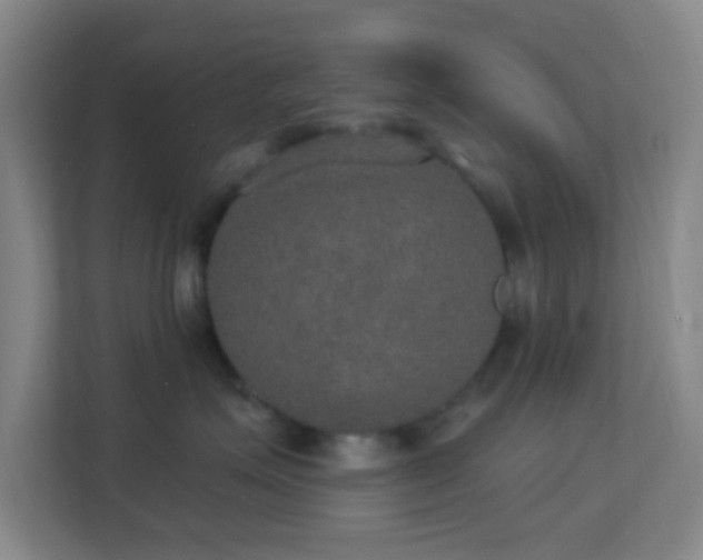 X0000113180623200909111056