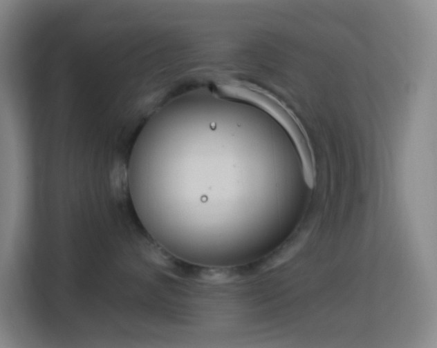 X0000113180624200909111055