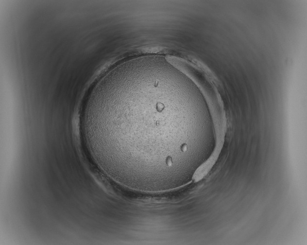 X0000113180626200909111055