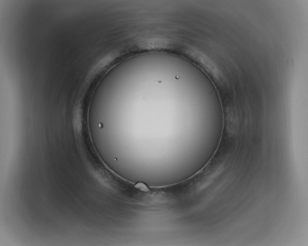 X0000113180631200909111055