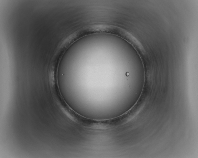 X0000113180633200909111055
