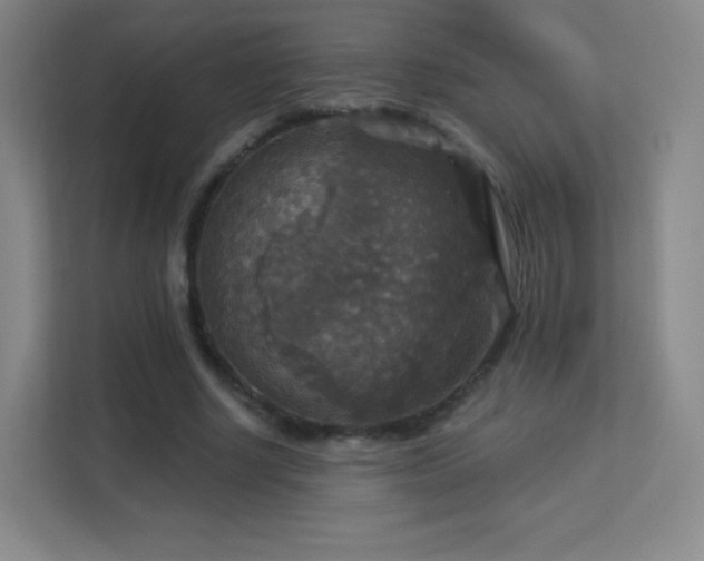 X0000113180634200909111055