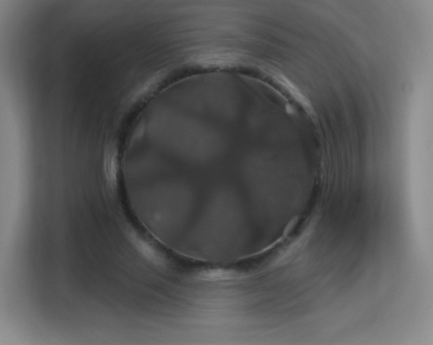 X0000113180637200909111055