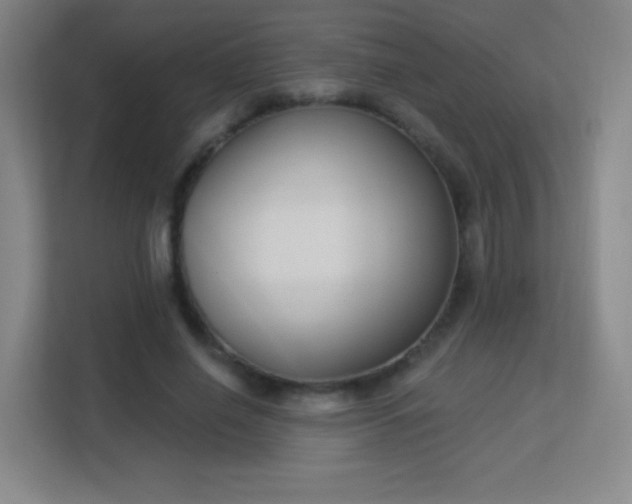 X0000113180638200909111055