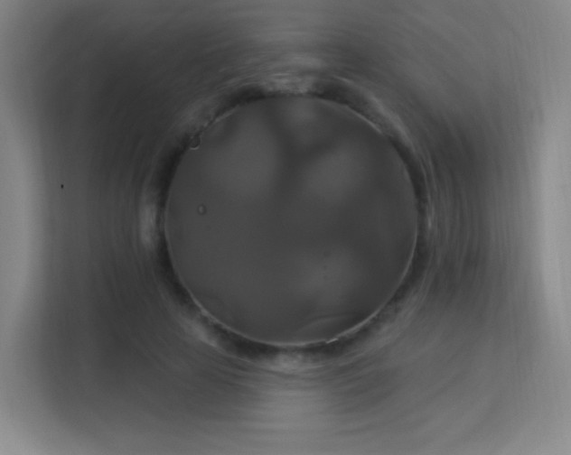 X0000113180641200909111055
