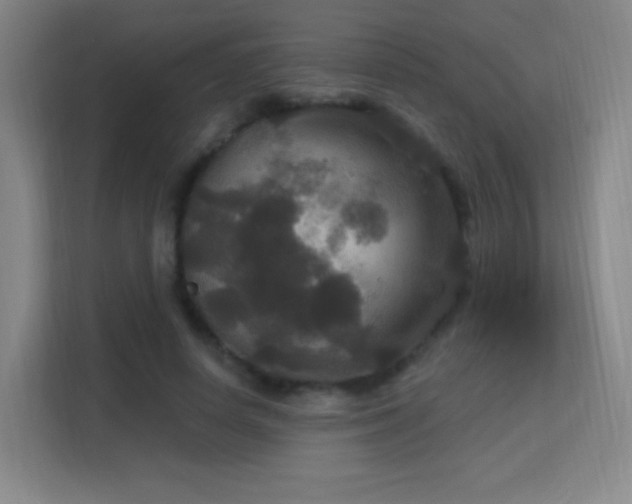 X0000113180642200909111055