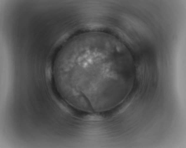 X0000113180644200909111055