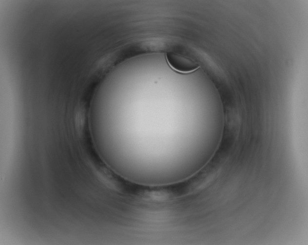 X0000113180645200909111055