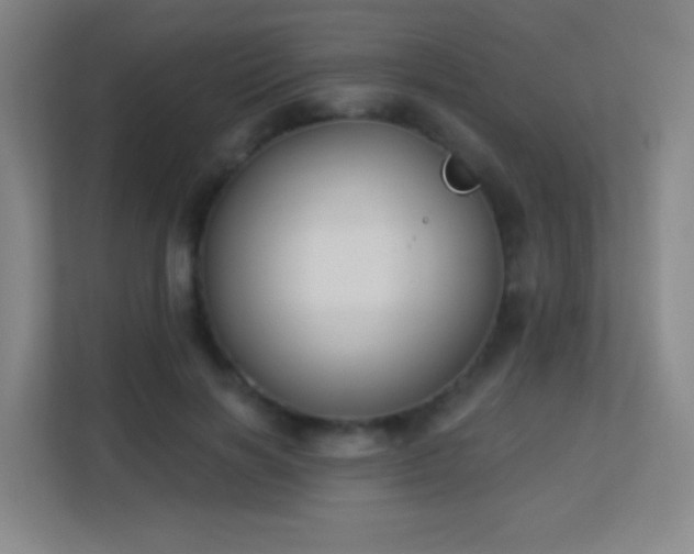 X0000113180646200909111055