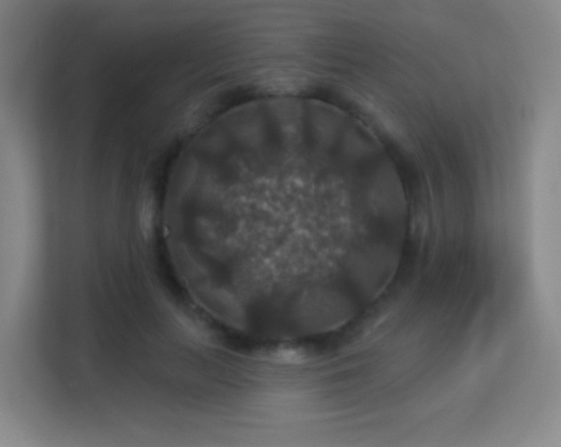 X0000113180647200909111055