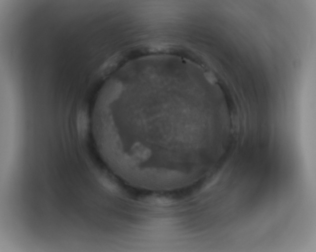 X0000113180648200909111055
