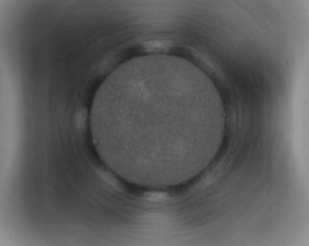 X0000113180649200909111055