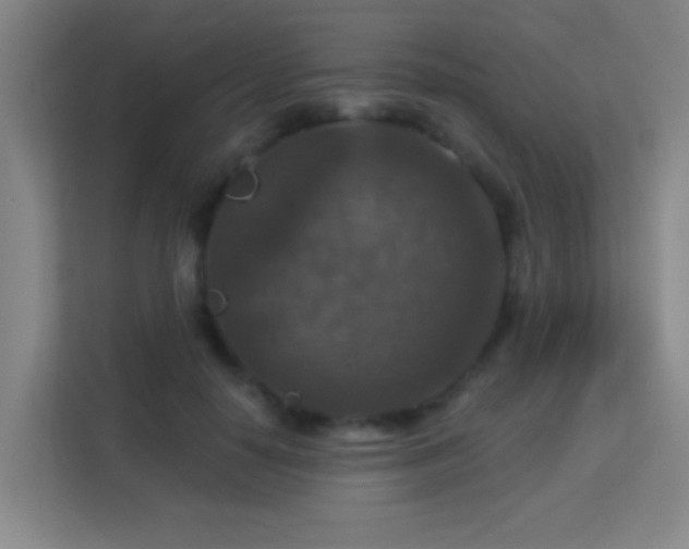 X0000113180650200909111055