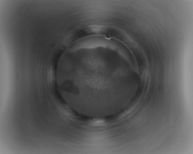 X0000113180651200909111055