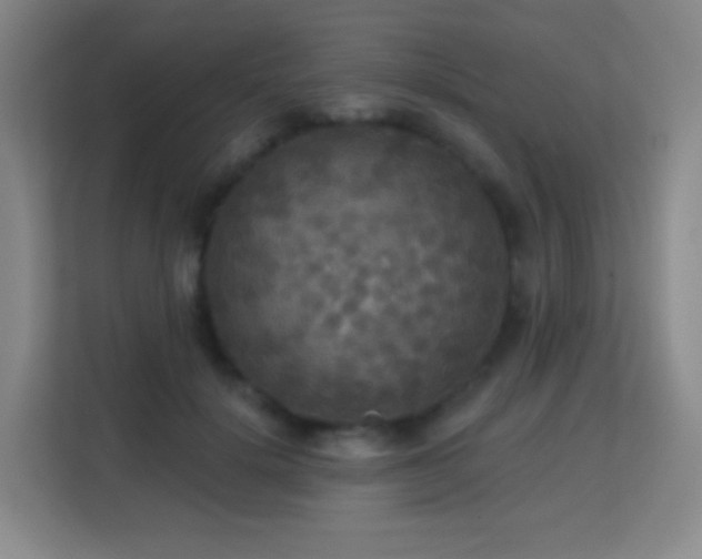 X0000113180652200909111055