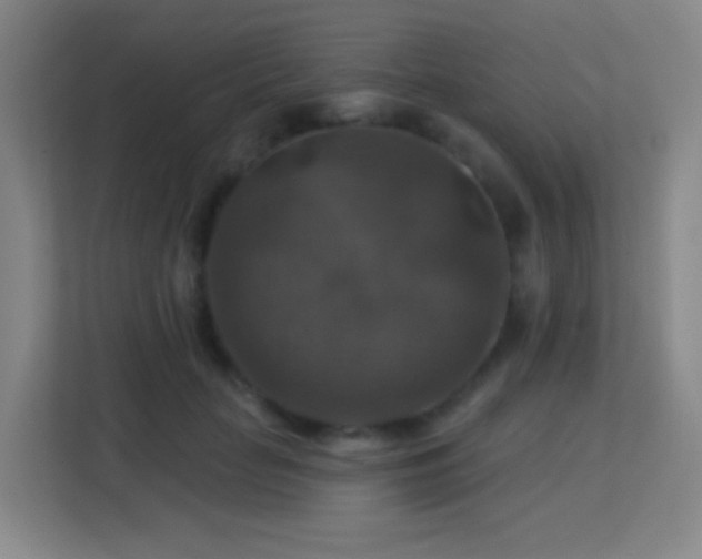 X0000113180653200909111055
