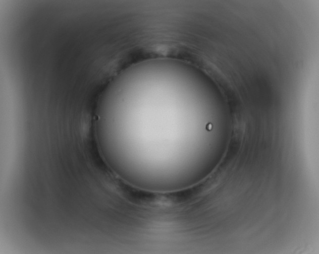 X0000113180656200909111055