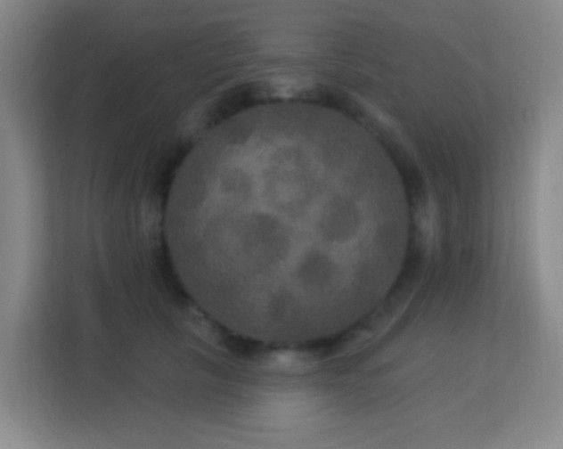 X0000113180657200909111055
