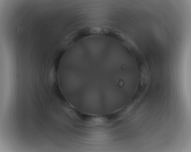 X0000113180659200909111055