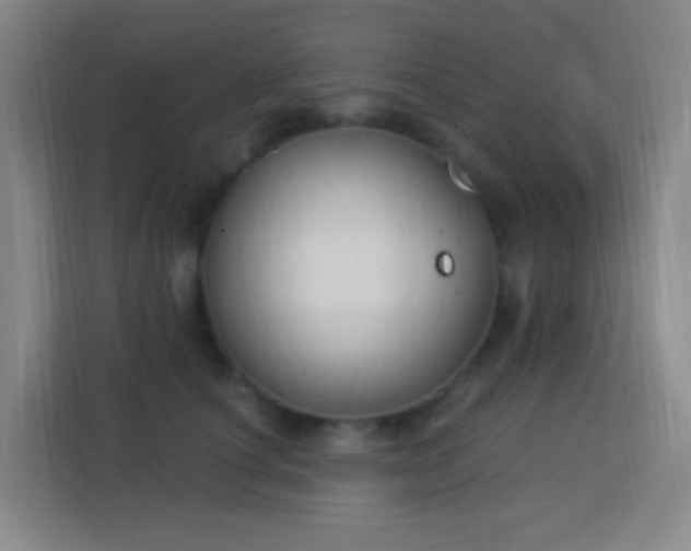 X0000113180660200909111055