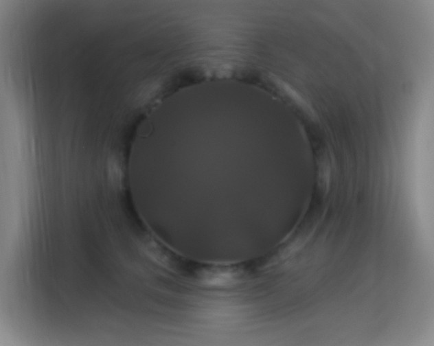 X0000113180661200909111055