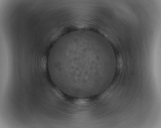 X0000113180664200909111055