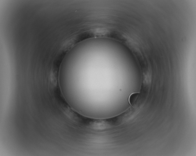 X0000113180666200909111055