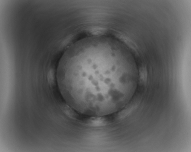 X0000113180667200909111055