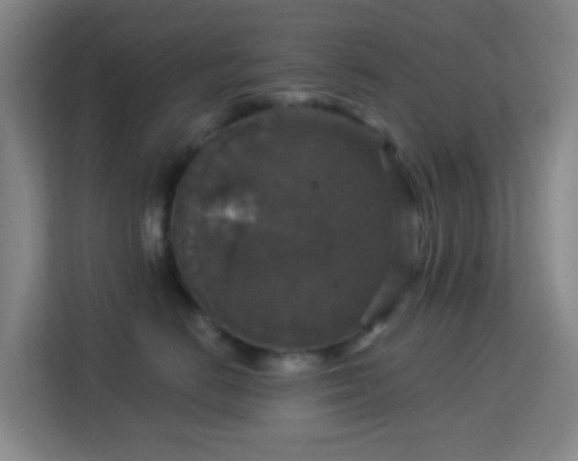 X0000113180670200909111055
